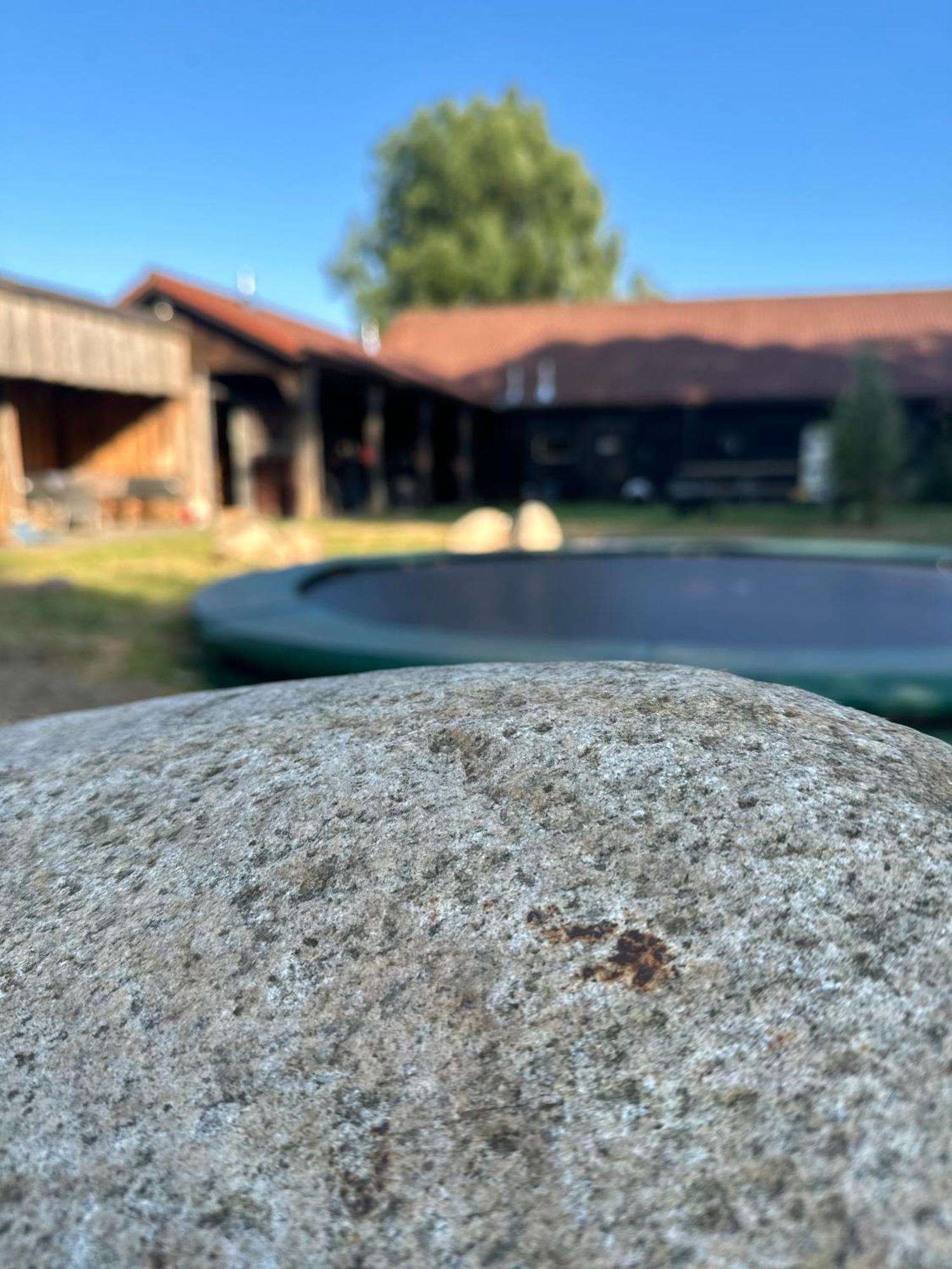 Back To Basic Hotell Zwaanshoek Eksteriør bilde