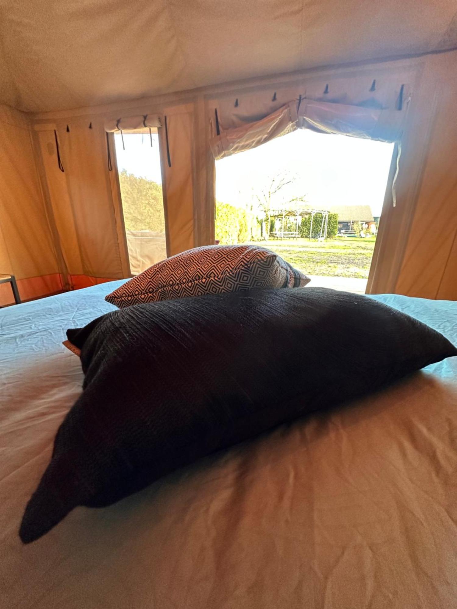 Back To Basic Hotell Zwaanshoek Eksteriør bilde